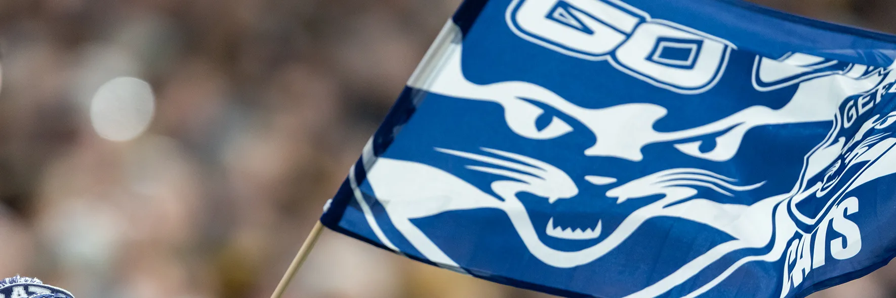 Large Geelong Cats flag waved amongst crowd