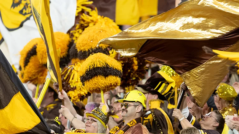 Hawthorn cheer squad wave gold and brown banners