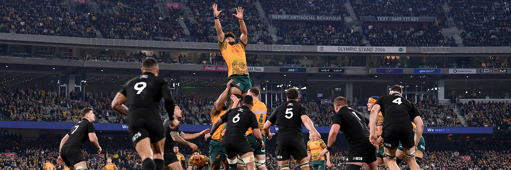 2023 Bledisloe Cup at the MCG
