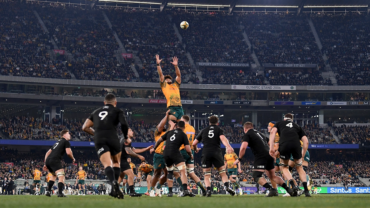 Bledisloe Cup at the MCG